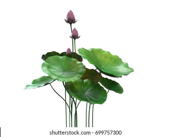 6,726 3d lotus flower Images, Stock Photos & Vectors | Shutterstock