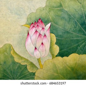 Lotus Symbol Of Purity And Wisdom