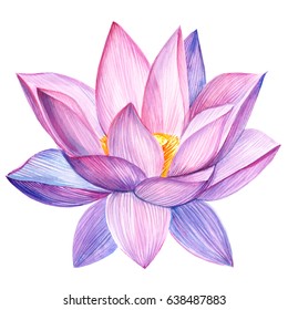  Lotus Watercolor Style Isolated.