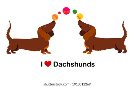 I love Dachshunds 
