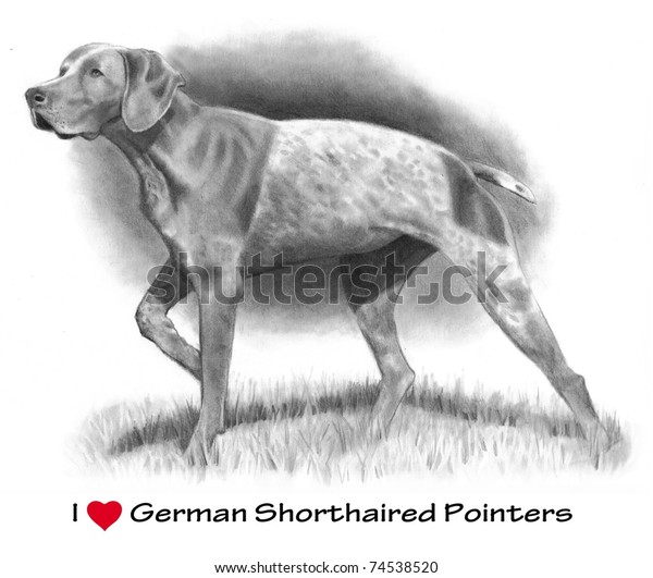 Love German Shorthaired Pointers Pencil Drawing Stock Illustration 74538520