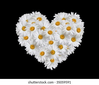 Download Heart Shape Daisy High Res Stock Images Shutterstock