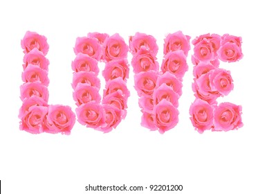 love of rose isolated