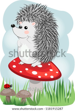 Similar – Image, Stock Photo The fly agaric Environment