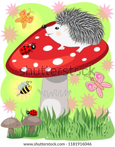 Similar – Image, Stock Photo The fly agaric Environment