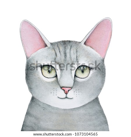 Lovely closeup portrait in pastel colors of young, grey, striped, fluffy tabby cat. Front view, looking at camera, short hair fur. Hand drawn water colour painting on white background, cut out.