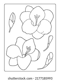 Lovely coloring book and simple magnolia flowers for developing drawing skills