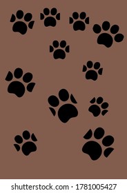 Lovely Dog Toes With Plain Background