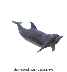 Lovely watering dolphin 3d illustration - Shutterstock ID 2192817593