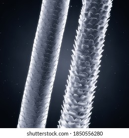 Low and High porosity hair strands, Hair damage 3d concept illustration