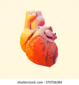 Low Poly Human Heart