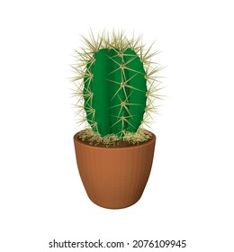 Low poly potted cactus isolated on white background. 3D illustration