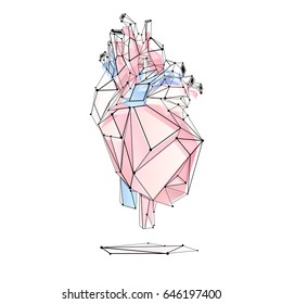 387 Geometric Anatomical Heart Images, Stock Photos & Vectors ...