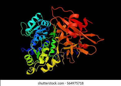 Luciferase (3d Structure), Oxidative Enzyme That Produces Bioluminescence. Used As Reporter In Genetic Engineering And Biotechnology. 