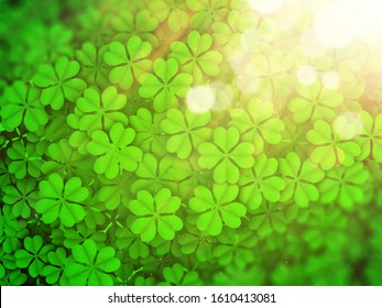 Lucky Irish Four Leaf Clover In A Field For St. Patrick's Day (3d Illustration)