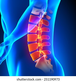 Lumbar Spine Anatomy Pain Concept