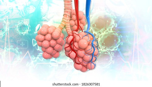 Lungs Alveoli On Scientific Background3d Illustration Stock ...