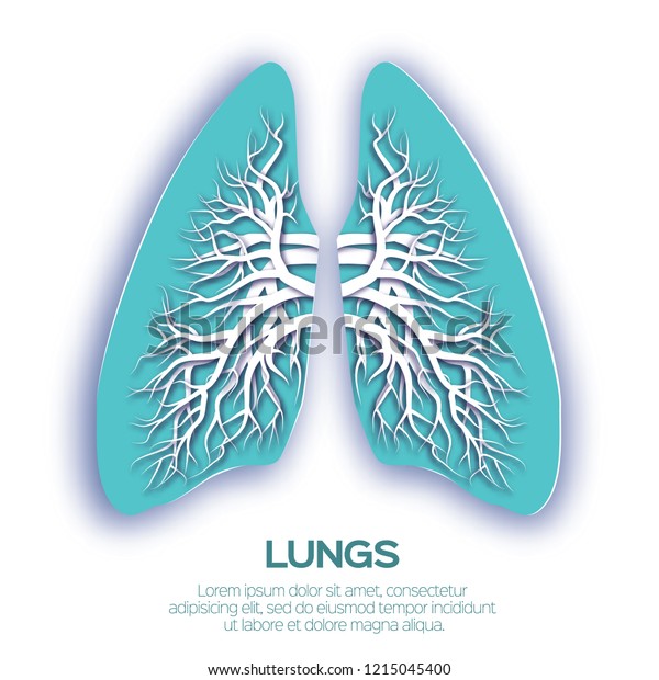 Lungs Origami Blue Paper Cut Human Stock Illustration 1215045400 ...