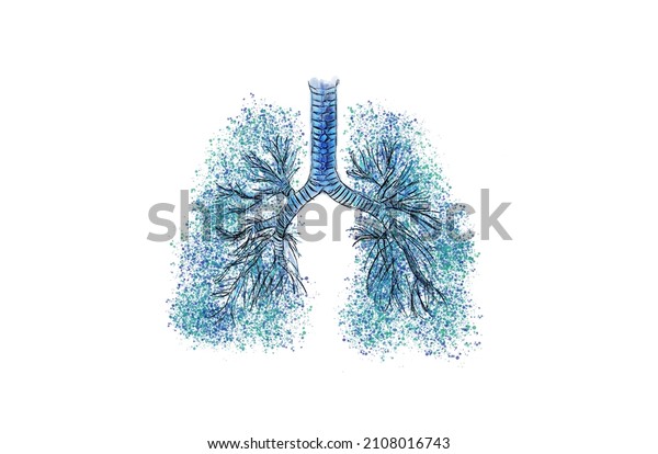 Lungs respiratory bronchial tree multiple-branched\
trachea, bronchi and lungs. Pulmonary and respiratory artistic\
medicine illustration. Hand drawing with gouache and paint\
sprinkles isolated\
white.