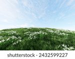 Lush green grass lawn and white flower on hill fresh nature with blue sky background with clipping path 3d render illustration