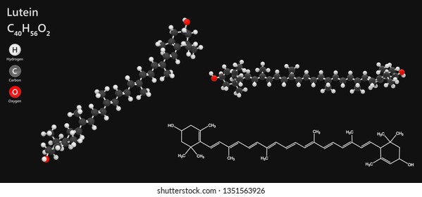 Lutein Molecular Formula C40h56o2 Oxygenated Carotenoid Stock ...