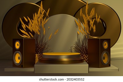 Luxury 3d Podium Display With Sound Box Empty Space Background. 3d Rendering