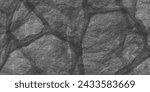 Luxury Gray stone wall background. part of a stone wall, for background or texture. Black and white abstract tree trunk wood texture. Rock stone background. Embossed brick wall texture. 