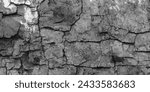Luxury Gray stone wall background. part of a stone wall, for background or texture. Black and white abstract tree trunk wood texture. Rock stone background. Embossed brick wall texture. 