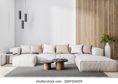 Luxury Living Room Interior With Beautiful Couch, Pillows, Rug And Other Items. Design Concept. 3D Rendering