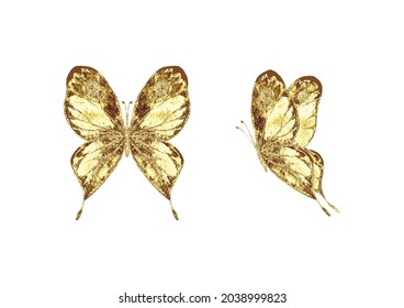 Luxury summer set of yellow golden color butterflies. Hand drawn botany gold butterfly illustration.. Print for fabric, wallpaper, wrapping paper design.