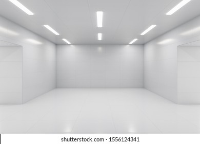 Luxury white gallery interior wirh daylight. Museum and art concept. Mock up, 3D Rendering