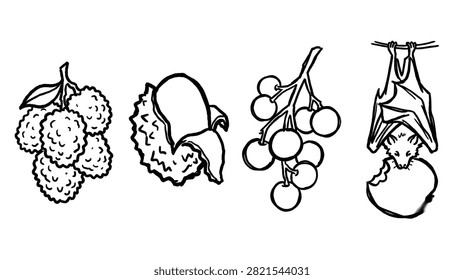 Lychee fruit bunch grapes bat hanging design beautiful custom rough line sketch doodle
