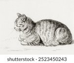 Lying cat (1811) by Jean Bernard (1775-1883). Cat domestic pet illustration. Vintage cute cat pet art drawing illustration, old domestic animal pet painting art print sketch.