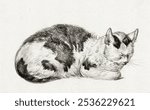 Lying cat (1828) by Jean Bernard (1775-1883). Black and white cat pet domestic animal illustration sketch. Vintage animal art drawing illustration, old cat pet animal painting art print.