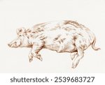 Lying pig (1812) by Jean Bernard (1775-1883). Red pencil pig animal sketch. Vintage black and white pig animal art drawing illustration, old painting art print of pig animal.