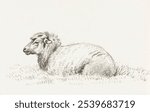 Lying sheep (1816) by Jean Bernard (1775-1883). Black and white sheep animal sketch. Vintage black and white sheep farm animal art drawing illustration, old painting art print of animal.