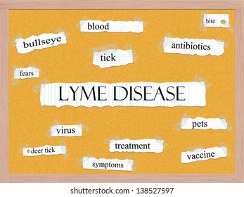 Lyme Disease Corkboard Word Concept With Great Terms Such As Bullseye, Tick, Bite, Pets And More.