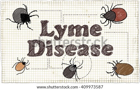 lyme disease paper