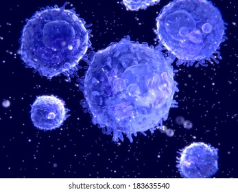 Lymphocytes