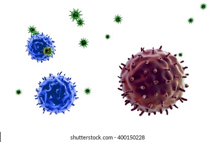 Lymphocytes And Viruses, Coronavirus On The White Bacground, Cancer Cell And Lymphocytes,T-lymphocytes Attack A Migrating Cancer Cell, Lymphocytes And Viruses On The White Background