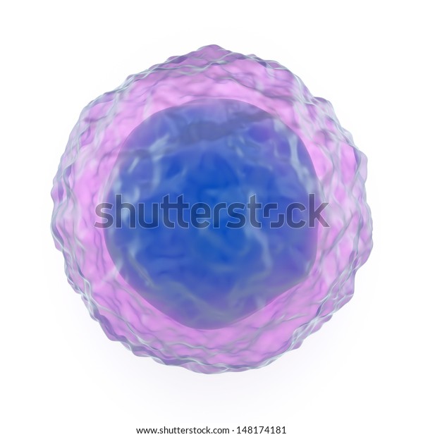 リンパ球は ウイルスや腫瘍と闘う免疫とナチュラルキラー細胞の抗体を形成するb細胞とt細胞から成るヒト免疫系の白血球または白血球である のイラスト素材
