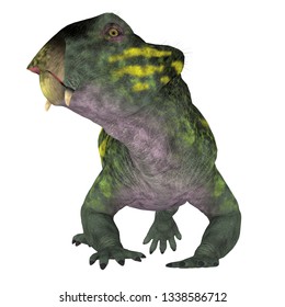 Therapsid Images Stock Photos Vectors Shutterstock