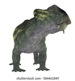 Therapsid Images Stock Photos Vectors Shutterstock