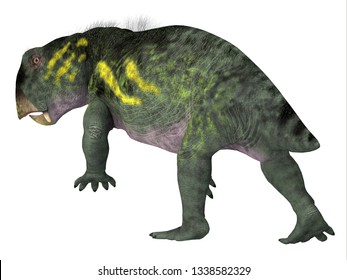 Dicynodont Images, Stock Photos & Vectors | Shutterstock