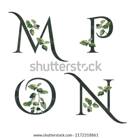 M, N, O, P initial letters; watercolor floral monograms with melissa twigs, isolated on white. Dark green serif alphabet. For wedding invitations and cards, special event and celebration materials
