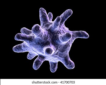 Macrophage