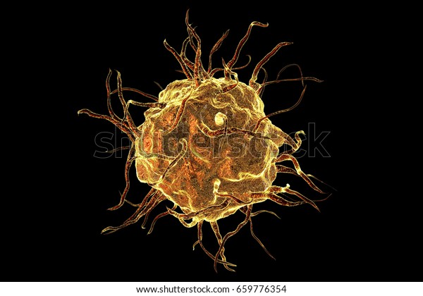 Macrophage cell isolated on\
black background, monocyte, close-up view of immune cell, 3D\
illustration
