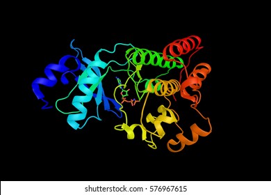 Macrophage-stimulating Protein Receptor, A Protein Related To The C-MET Receptor Tyrosine Kinase. 3d Rendering.