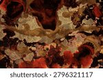 Made from liquid art, using water, paint, soap, oil and inks. Macro photos. Various colors and textures.