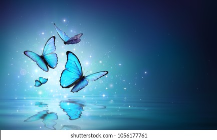 Magic Butterflies On Water - Contain 3d Illustration
